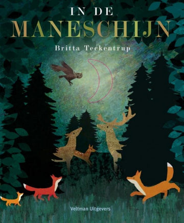 In de maneschijn - Britta Teckentrup - Veltman Uitgevers